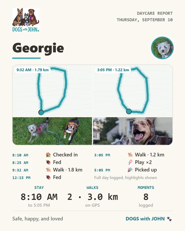 A sample daycare report for Georgie: two walk maps with distances, two photos from the day, a timeline from check-in to pickup, and totals for the day
